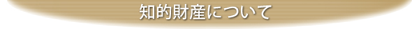 知的財産について