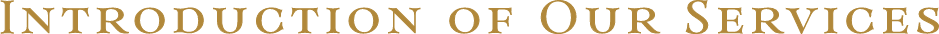 INTRODUCTION OF OUR SERVICES