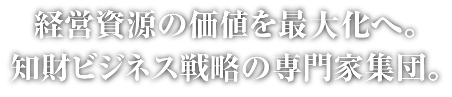 経営資源の価値を最大化へ。知財ビジネス戦略の専門家集団。